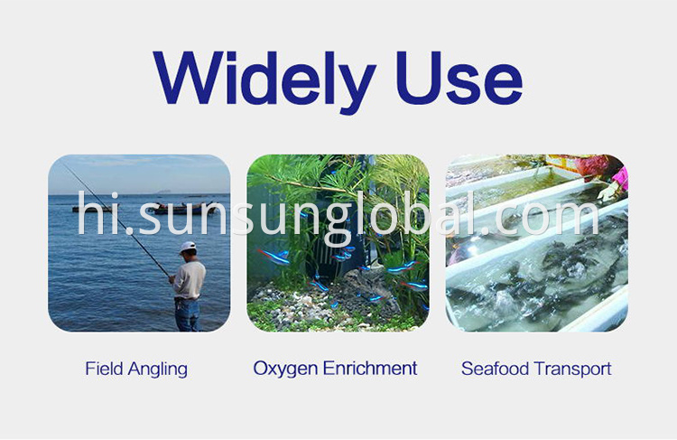 एक्वेरियम के लिए उच्च गुणवत्ता वाले इलेक्ट्रिक डीसी एयर पंप